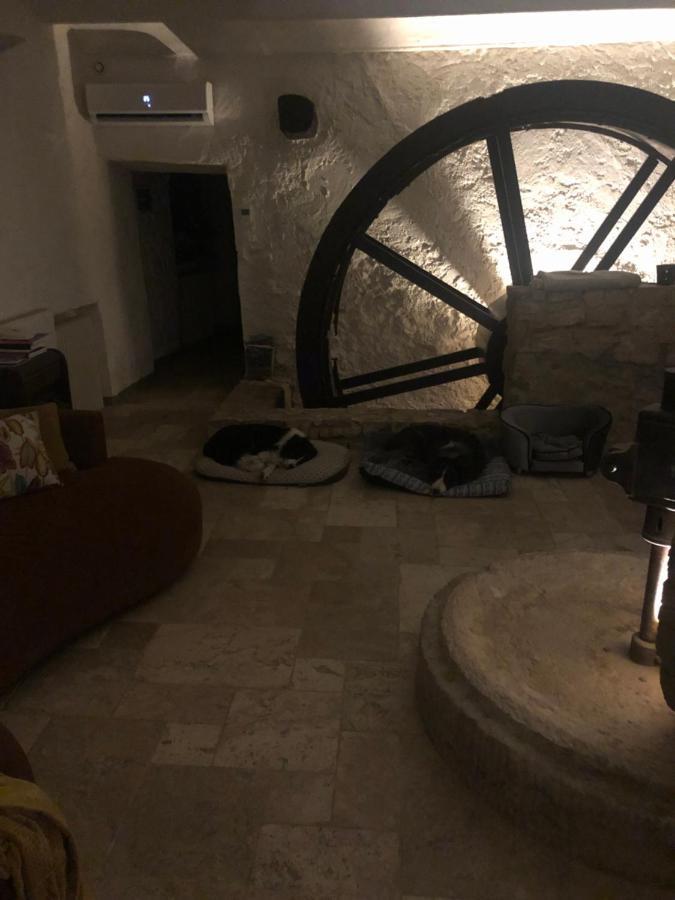 Moulin A Huile Chambre D'Hotes Vins-sur-Caramy エクステリア 写真